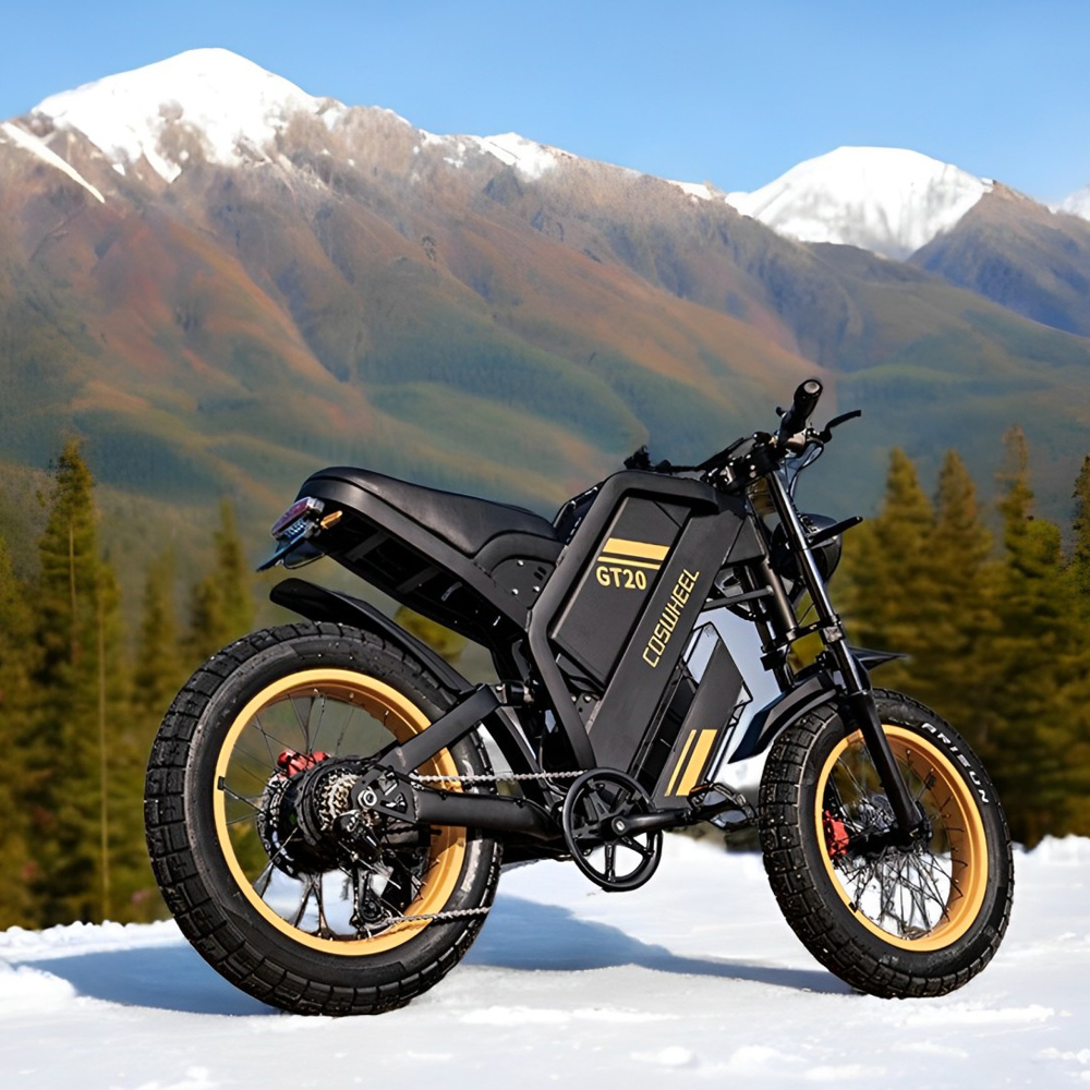 Coswheel Electric bike for Adu - Motorcycle Gear Online ulasan dan harga